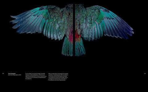 Toi Tu Toi Ora: Contemporary Maori Art